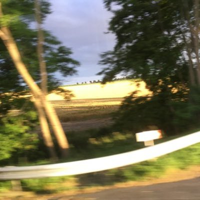 Profile Picture of George (@georgedigby11) on Twitter