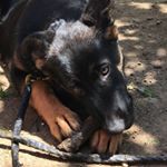 David Lindner - Instagram Profile Picture of David Lindner (@dave_was_taken_) on Instagram