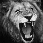 Profile Picture of John Athanas Tonya (@john.tonya) on Instagram