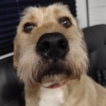 Profile Picture of Brady Jerome (@26jeromeb) on Instagram