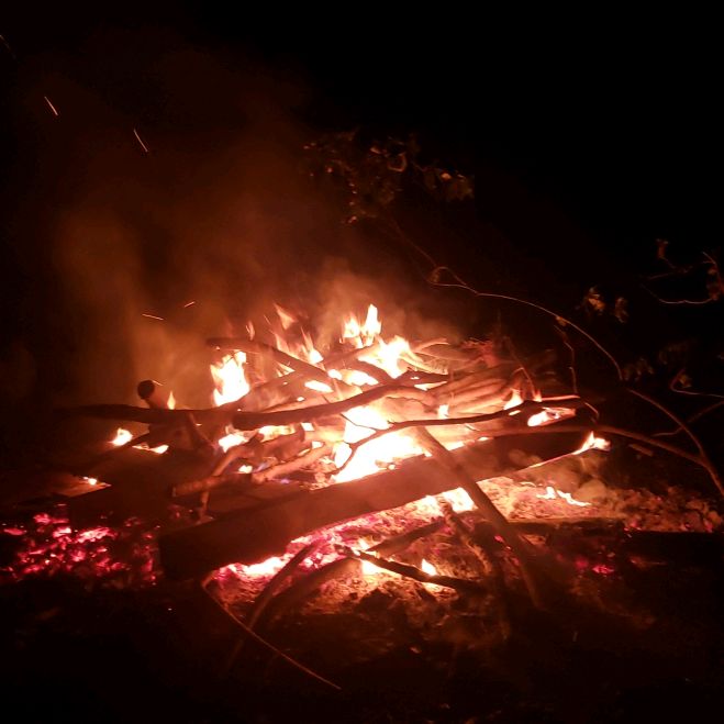 Profile Picture of Joey johns (@chillinwithpatrick) on Tiktok