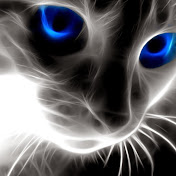 Profile Picture of Chris Rivers (@cwrivers) on Youtube