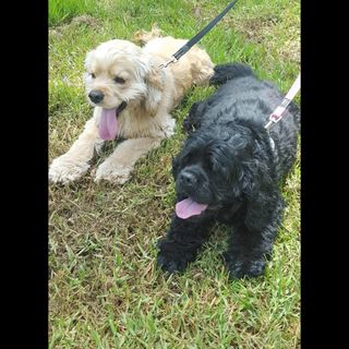 Profile Picture of Darryl Stanton (Doodle) (@darryl.stanton.73) on Facebook