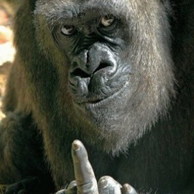 Profile Picture of Josh Johnstone (@2010Joshy) on Twitter