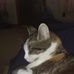Profile Picture of Tom Weaver (@tom.weaver.167527) on Facebook