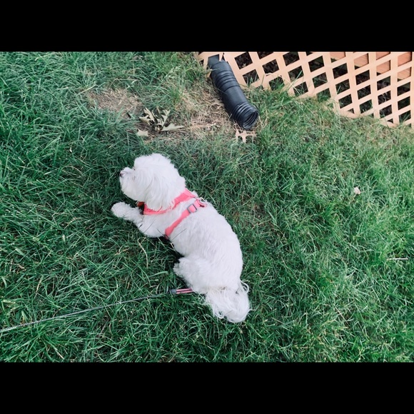 Donald Thompson - Poshmark Profile Picture of Donald Thompson (@donjr72) on Poshmark