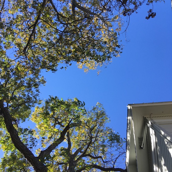 Profile Picture of Brent Bauries (@bbauries) on Poshmark