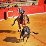 Profile Picture of juan manuel cordero teran (@juanmanuelcorderoteran) on Instagram