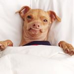 Profile Picture of thetravelingtuna (@thetravelingtuna) on Instagram