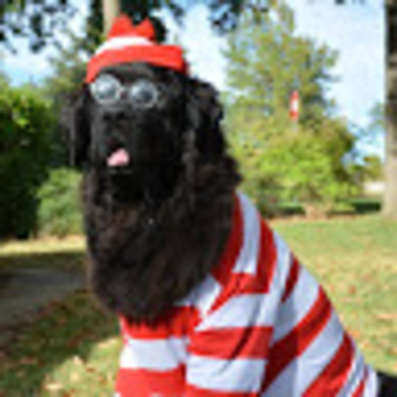 Profile Picture of Paige Casteel (@paigeintulsa) on Poshmark