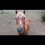 Profile Picture of carl pierce (@rogervsrafa) on Instagram
