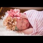Profile Picture of Donna Crouch (@donnac1760) on Instagram