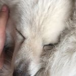 Profile Picture of Lillian (@lilllian.trinh) on Instagram