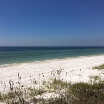 Profile Picture of Nancy Mauldin (@NancyMauldin1) on Twitter