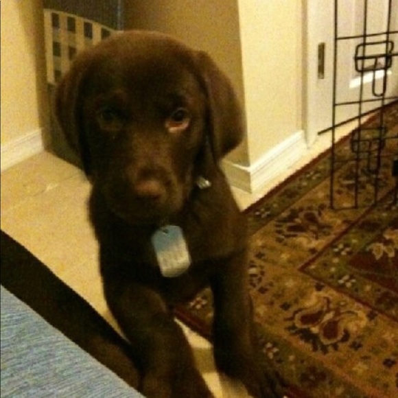 Profile Picture of Charnita Hernandez (@cnandez8891) on Poshmark