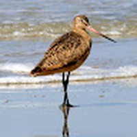 Profile Picture of Chris Dowdy (@chris-dowdy-27) on Quora