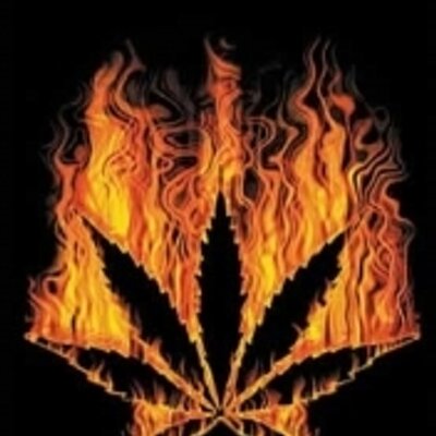 Profile Picture of Bryan Camelo Muñoz (@@BrYaN_cAmelO_) on Twitter