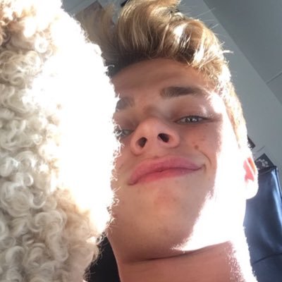 Profile Picture of David Christophersen (@ChristoDave13) on Twitter
