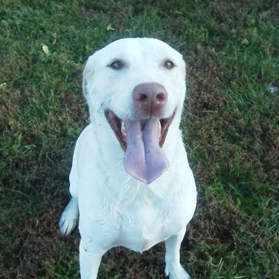 Profile Picture of Christopher Gandara (@cjgandi) on Twitter