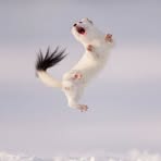 Profile Picture of Tim Berns (@tim.berns.2025) on Facebook