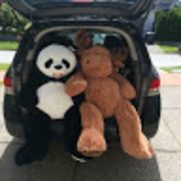 Profile Picture of Yang Zheng (@danny69518) on Poshmark