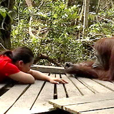 Profile Picture of Kim Belly (@Pongo716) on Twitter