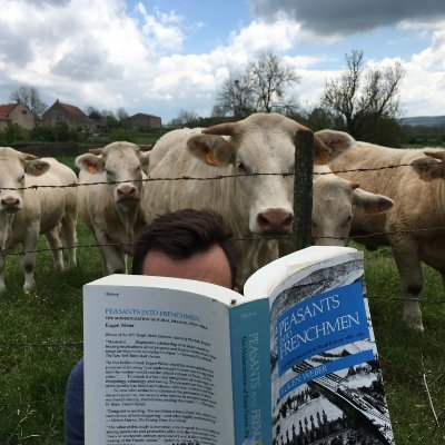 Profile Picture of Noel Foster (@noel_hypothesis) on Twitter