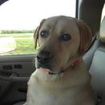 Profile Picture of Gary Hellyer (@hellyergary) on Instagram