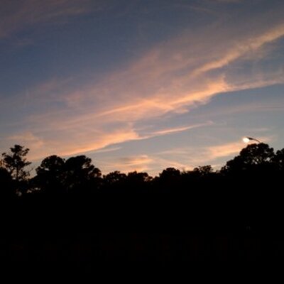 Profile Picture of Lance Lloyd (@BigBoyLloyd785) on Twitter