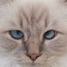 Profile Picture of Frédéric Gilbert (@frederic.gilbert.1800) on Facebook