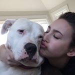 Profile Picture of Dani (@danielacarey) on Instagram