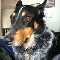 Profile Picture of Kevin Doll (@kevin-doll-4) on Quora