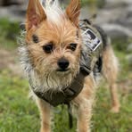 Profile Picture of Cecil Cottongin (@Cccat1212) on Facebook