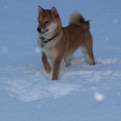 Profile Picture of Adam Ragsdale (@adamragz) on Twitter
