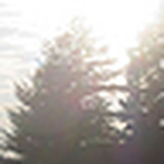 Profile Picture of Sean Garrison (@seandean) on Flickr