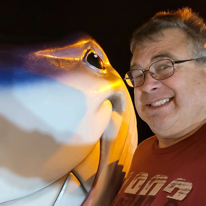 Profile Picture of William Barrett747Bill (@williambarrett62) on Tiktok