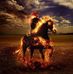 Profile Picture of James Cominsky (@james.cominsky.56) on Facebook