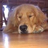 Profile Picture of Jim Dangelo (@jim-dangelo) on Quora