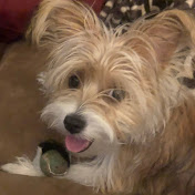 Profile Picture of Lisa Joslin (@lisajoslin2076) on Youtube