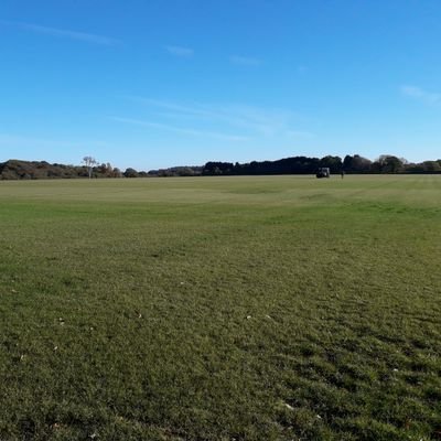 Profile Picture of New Forest Turf Supplies Ltd (@VickyFo85604942) on Twitter