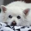 Profile Picture of Crystal Bjornson698 (@crystalbjornson) on Tiktok