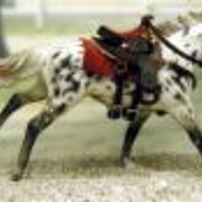 Profile Picture of Derek Rawlings (@SamsCowboy) on Twitter