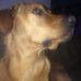 Profile Picture of Kay Wainwright (@kay.wainwright.543) on Facebook