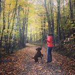 Profile Picture of Stephanie Wasylyk (@stephaniewasylyk) on Instagram