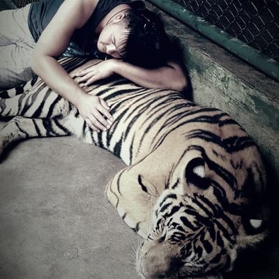 Profile Picture of Aj Lowry (@AnthonyLowry5) on Twitter