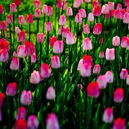 Profile Picture of Weiwei Xu (@Vivienxuweiwei) on Twitter