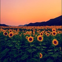 Profile Picture of Lucero Flores (@lucero-flores-6) on Quora