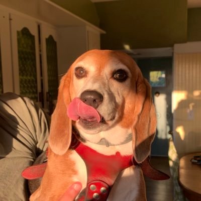 Profile Picture of Kate Travis (@kate__travis) on Twitter