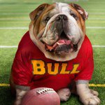 Paula Lowery - Instagram Profile Picture of Paula Lowery (@3lowery) on Instagram