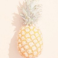 Profile Picture of Addison Coffey (@addison-coffey-1) on Quora